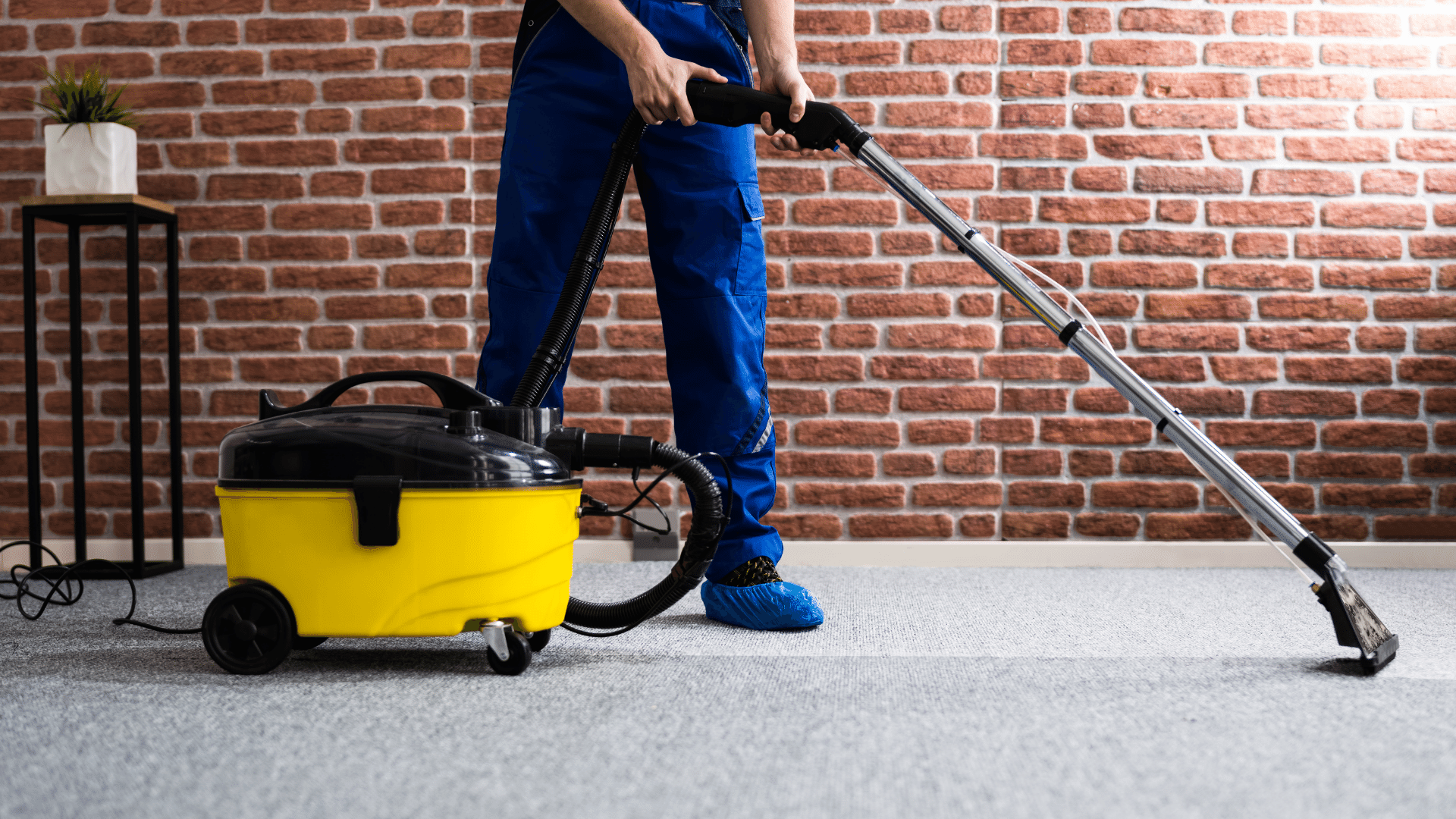 Carpet cleaning 2