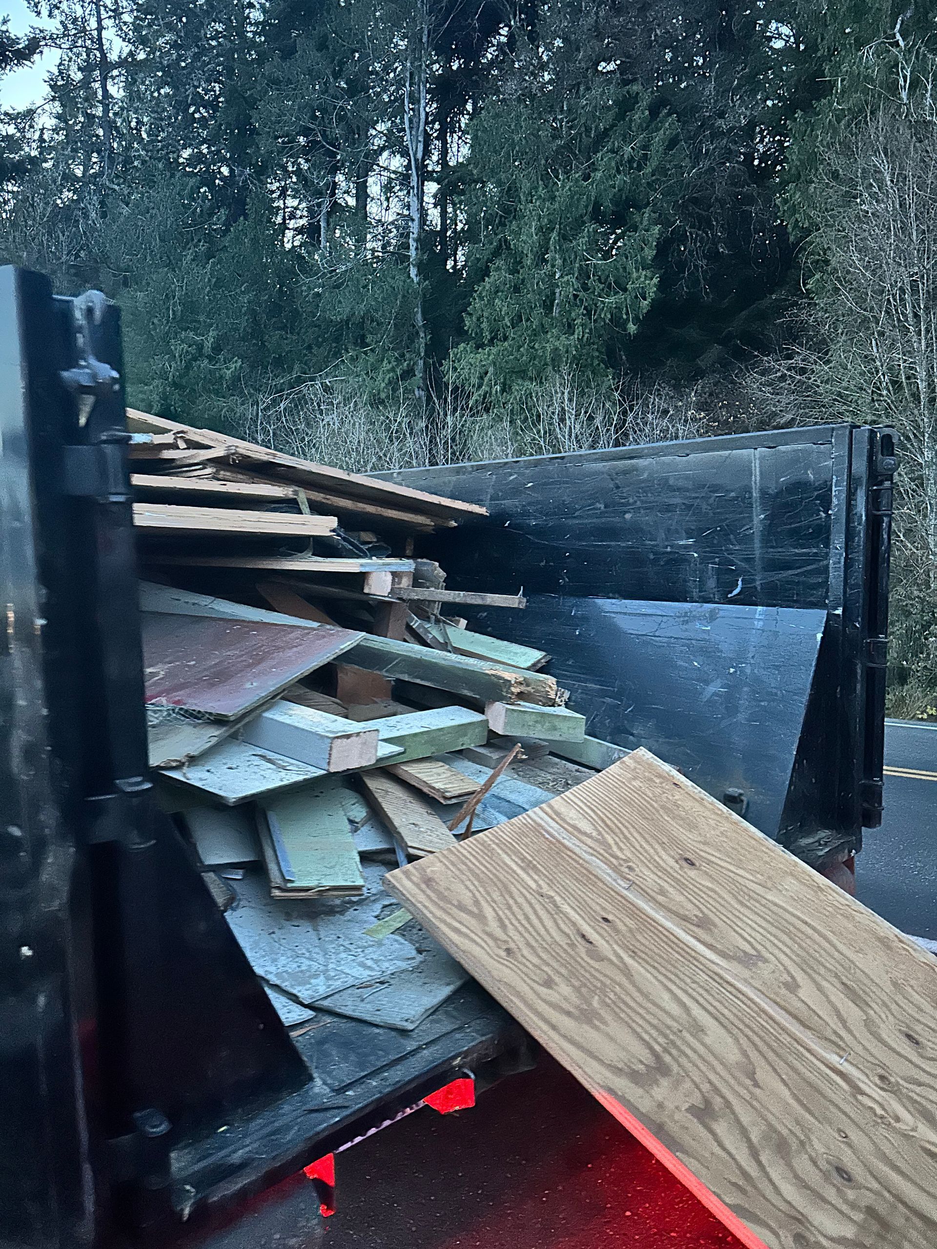 Dumpster filled with old wood and debris in front of trees.