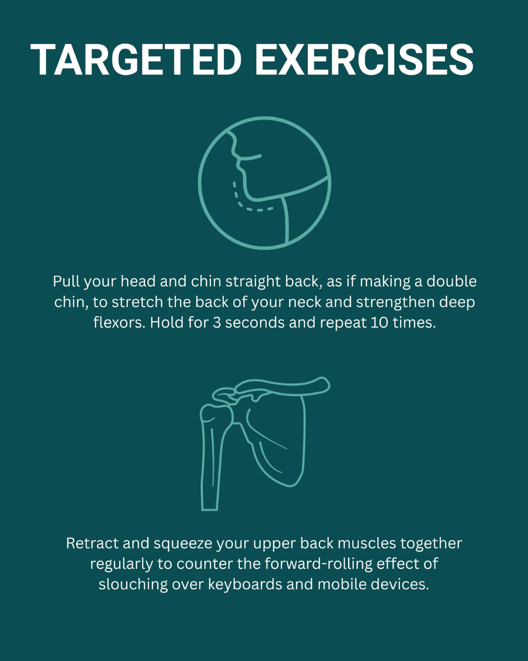 Teal fitness graphic titled “Targeted Exercises” with neck stretches and shoulder blade squeeze instructions.