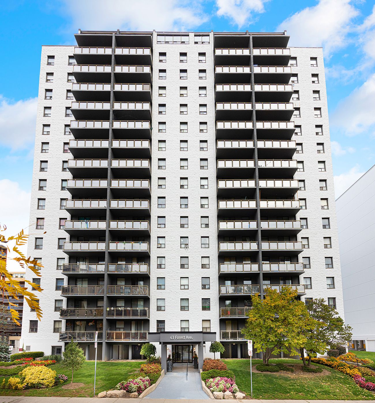 Apartment Gallery | 43 Forest Ave