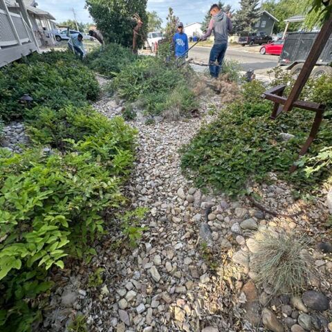 Gravel garden path bordered by dense greenery, with two people working near a residential street.