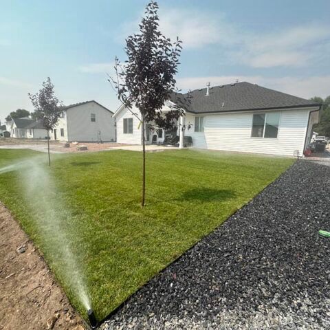 Front yard with sprinkler watering green grass beside a white house and black gravel path.