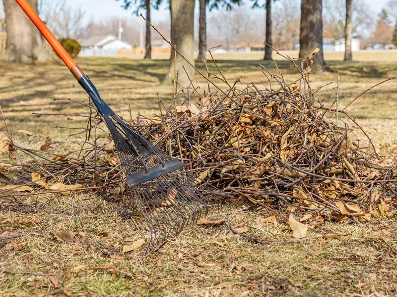 Rake piling dry leaves and twigs in a yard during autumn cleanup