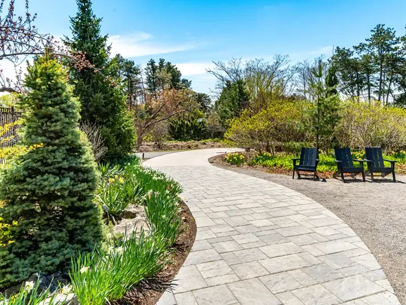 Curved garden path with trees, flowers, and black chairs under a bright blue sky