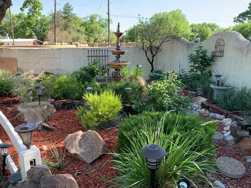 Landscape garden with fountain, rocks, and greenery in a sunny backyard