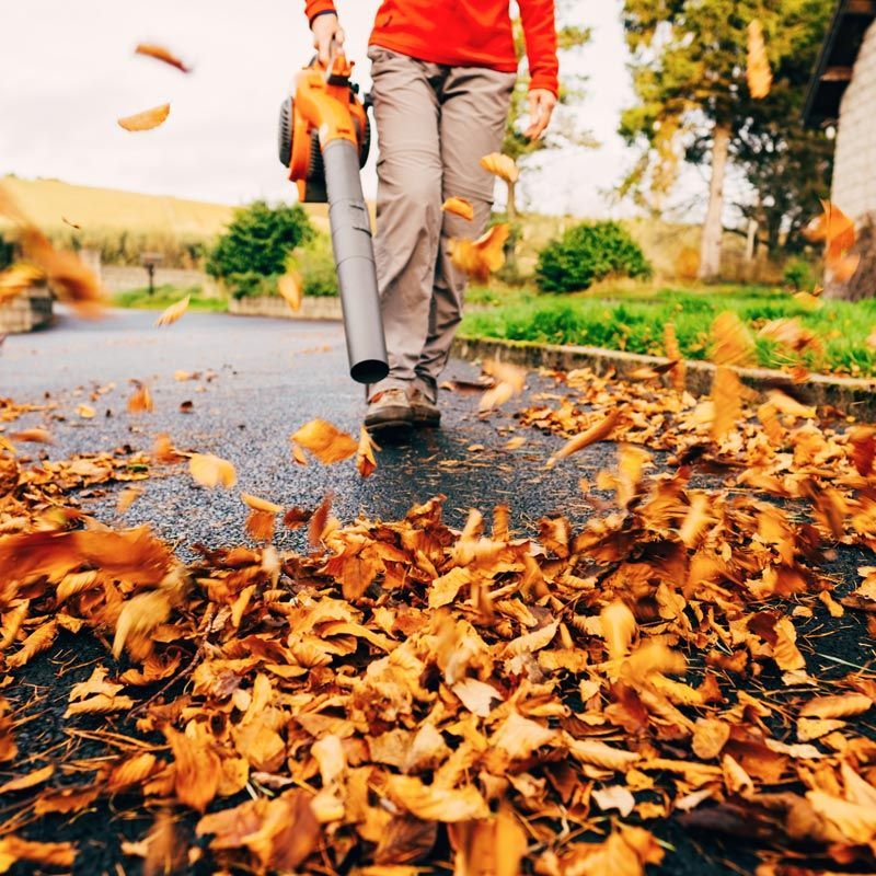 Person using a leaf blower clears orange autumn leaves from a roadside path