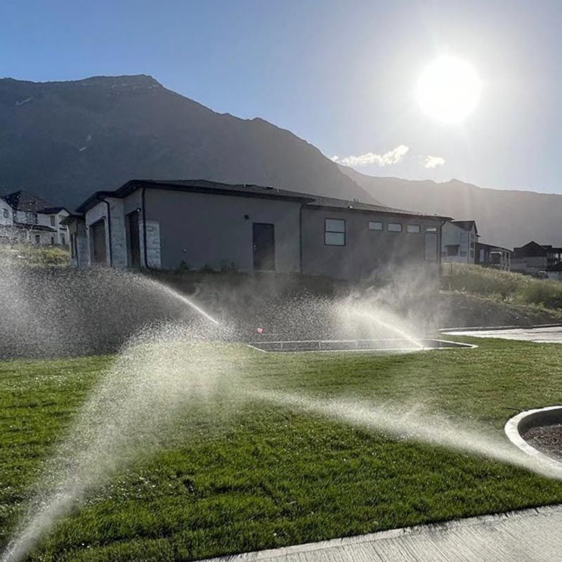 Sprinklers watering a green lawn in front of a house with mountains and bright sun in the background