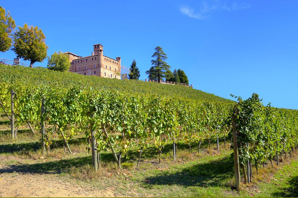 Castello Langhe
