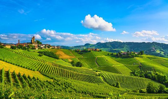 vista sulla collina verde lussureggiante di Serralunga