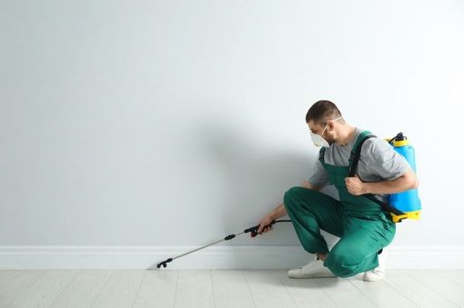 An image of Pest Control Services In Rowlett, TX