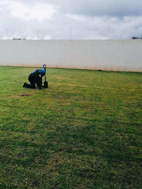FUMIGACIONES PROFESIONALES DE HIDALGO - Servicio de control de plagas