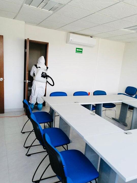 FUMIGACIONES PROFESIONALES DE HIDALGO - Fumigación en inmuebles en general