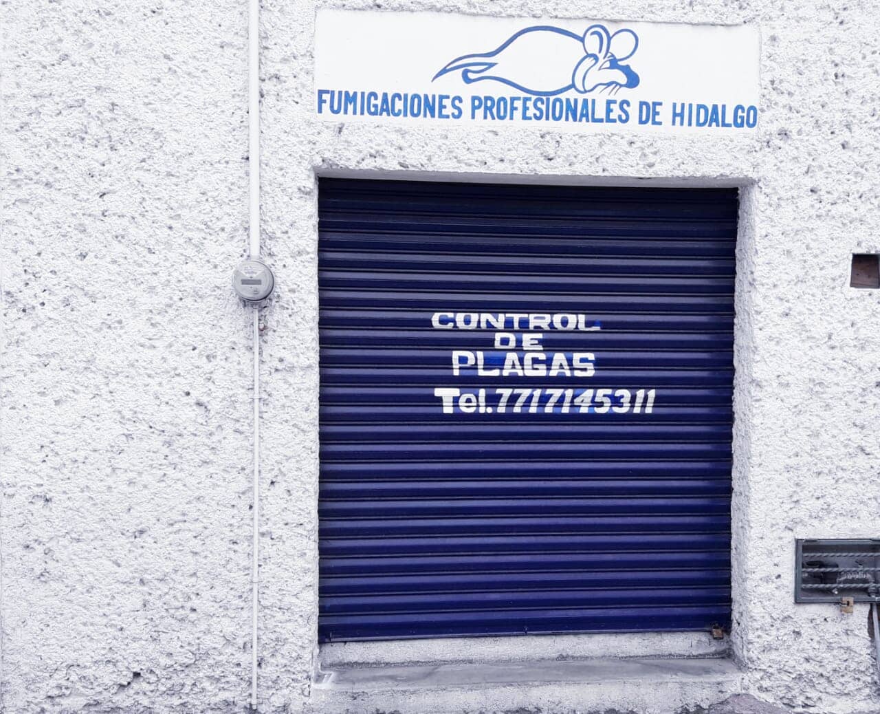 FUMIGACIONES PROFESIONALES DE HIDALGO - Pesticida