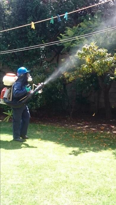 FUMIGACIONES PROFESIONALES DE HIDALGO - Insecticidas