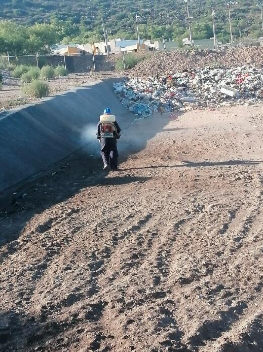 FUMIGACIONES PROFESIONALES DE HIDALGO - Desinfección patógena para áreas contaminadas