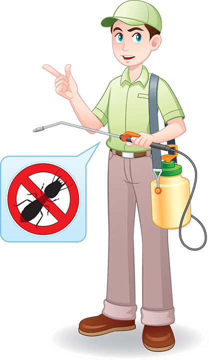 FUMIGACIONES PROFESIONALES DE HIDALGO - Servicios de fumigación