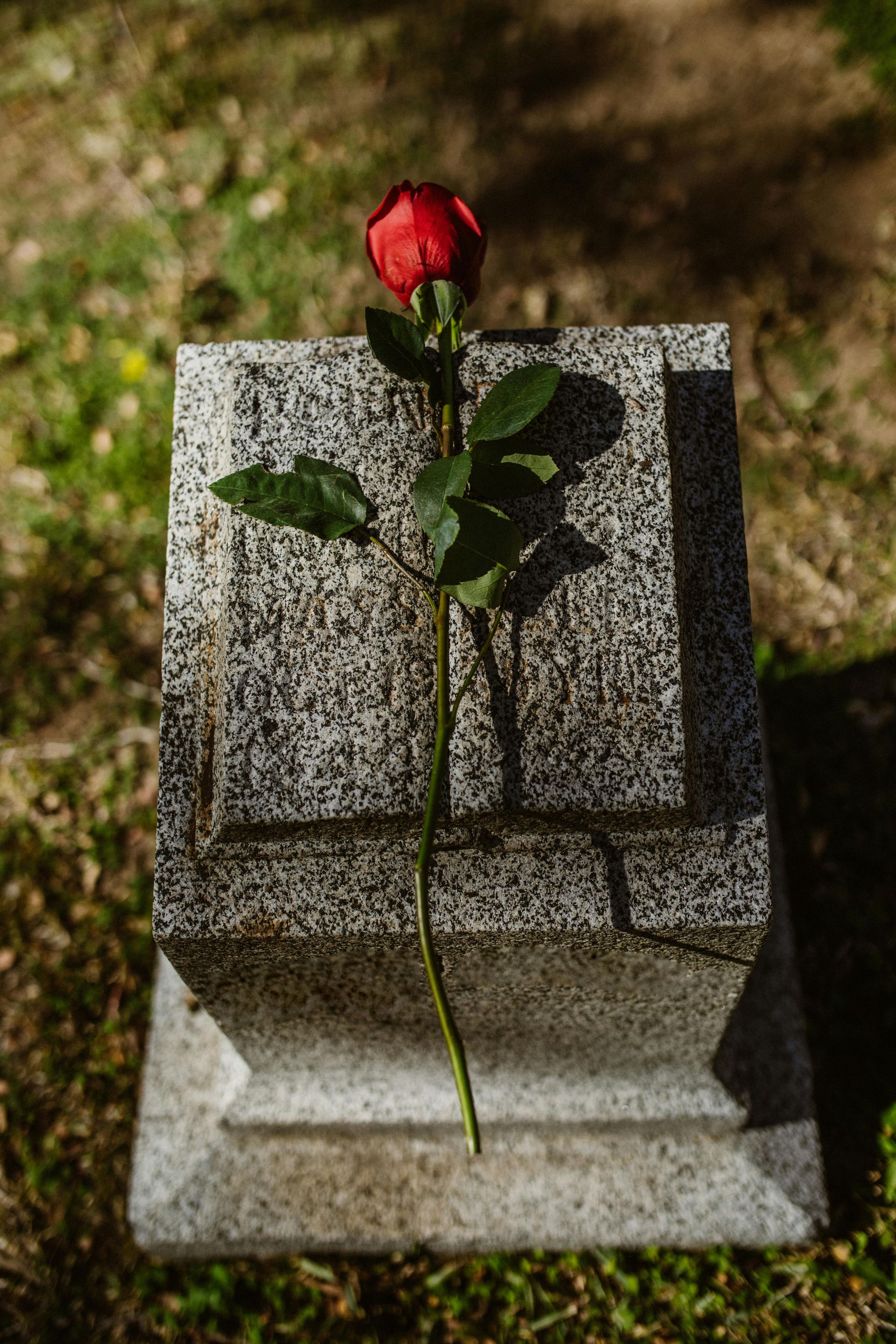 A single red rose is sitting on top of a gravestone.