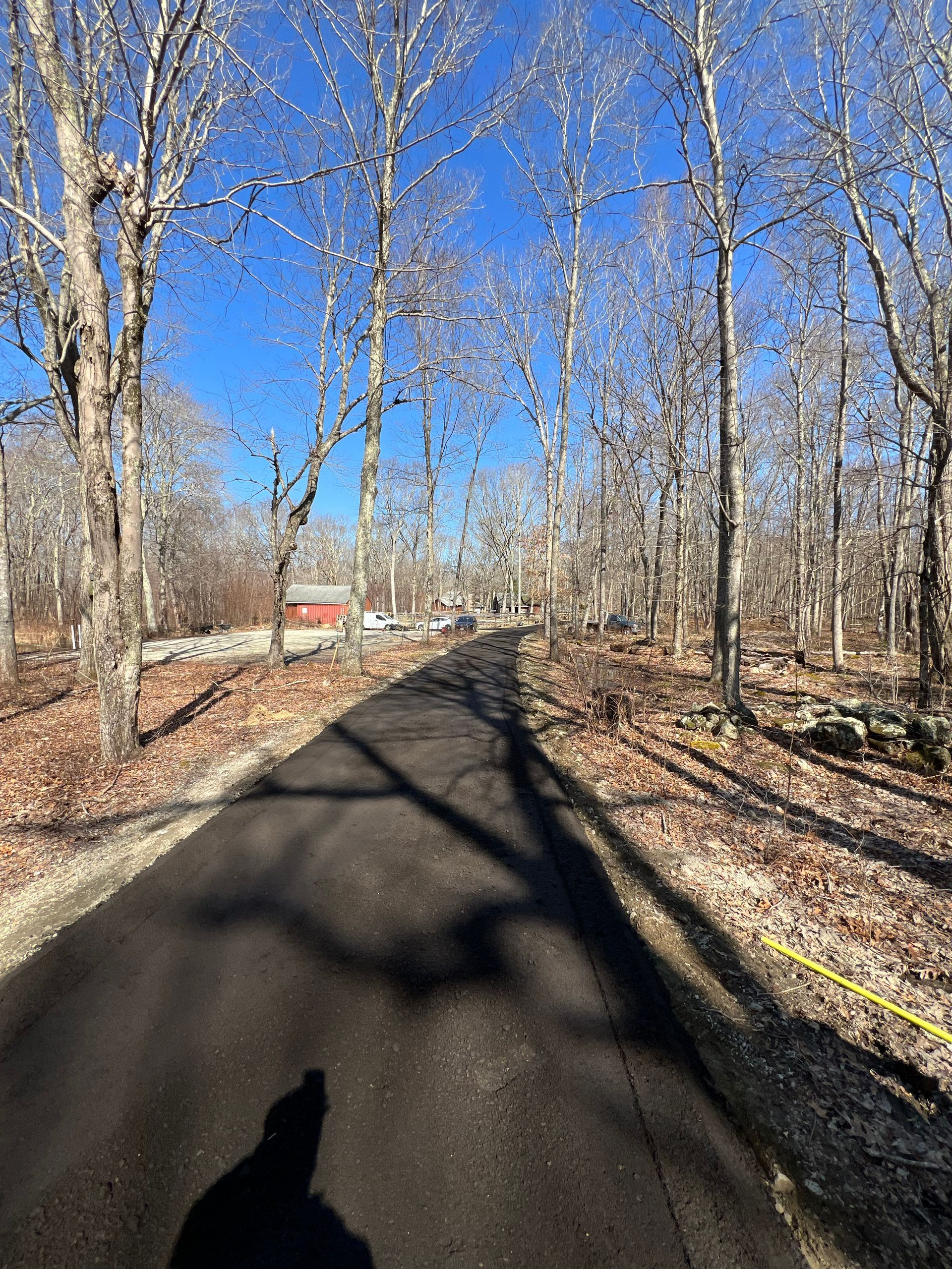 Paved road through a sunny forest. Bare trees cast long shadows on the road. Red building visible in the distance.