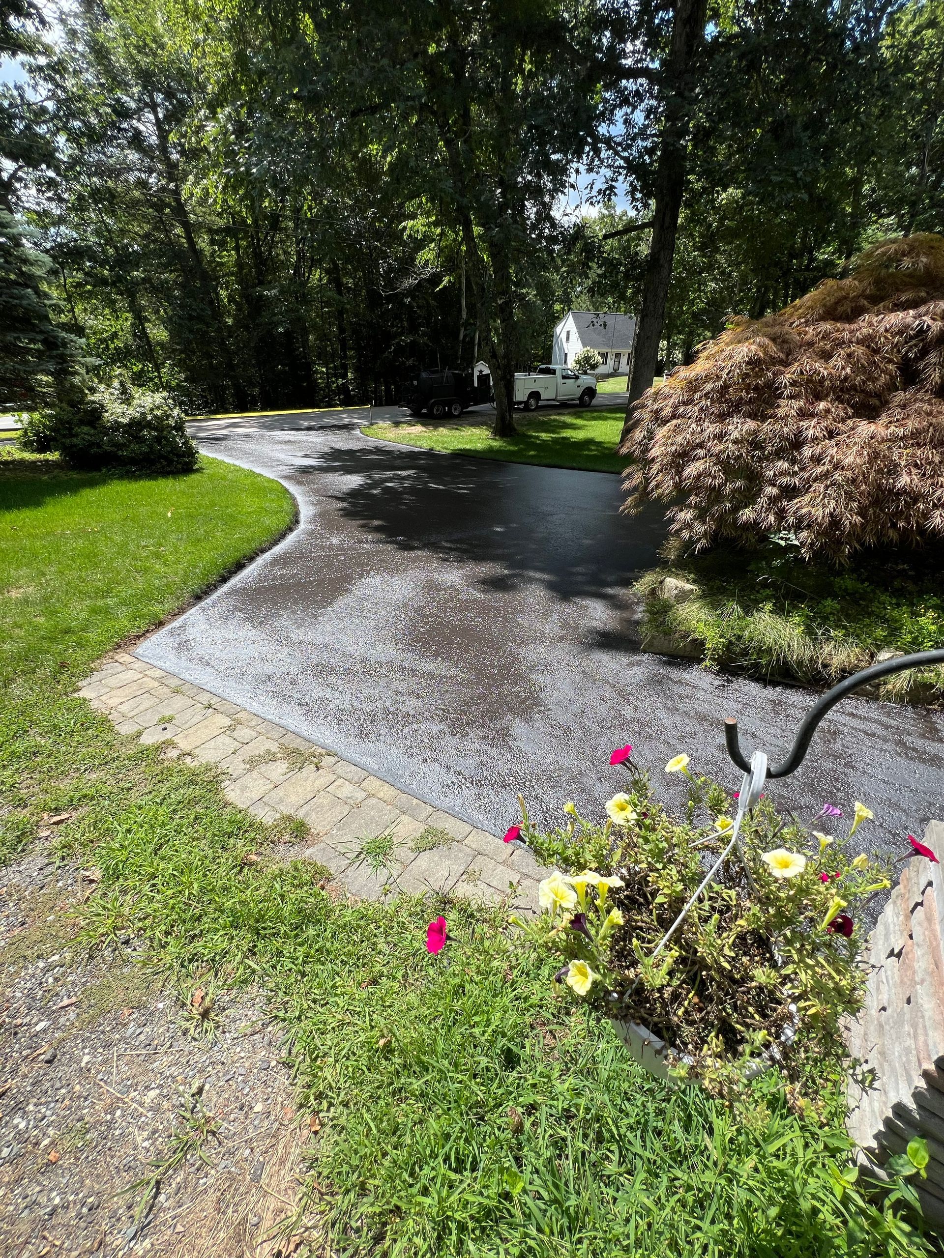 A driveway being pressure washed, covered in water and debris. Flowers, grass, and trees surround it.