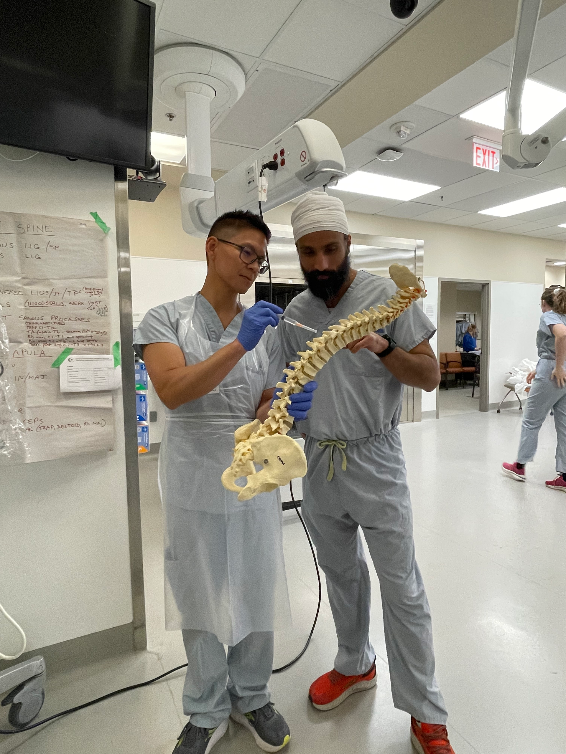 Two clinicians in scrubs examining a model spine in a hospital hallway