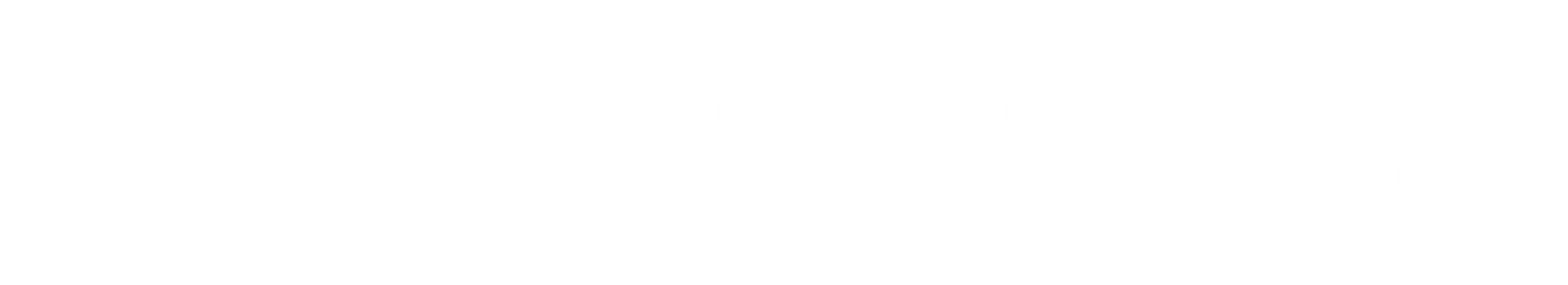 White background with a thin horizontal black line near the top and a tiny black mark at the left end.