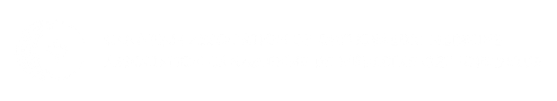 White background with a thin horizontal black line near the top and a tiny black mark at the left end.