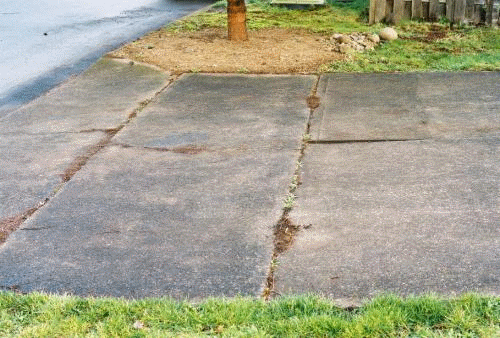 Cracked concrete sidewalk with patches of dirt and grass; a tree is in the background.