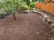 A garden bed covered in dark brown mulch, with a tree on the left and a wooden fence on the right.
