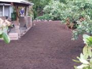 Lawn covered in dark brown mulch beside a brick-lined patio and gazebo, surrounded by green foliage.