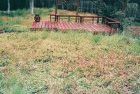 Wooden deck surrounded by tall grass in an outdoor setting.