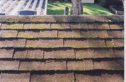 Brown asphalt shingle roof with moss growth.