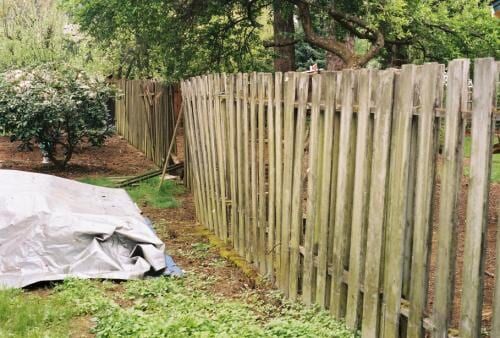 A weathered wooden fence curves along a yard, with a tarp on the ground near the fence.