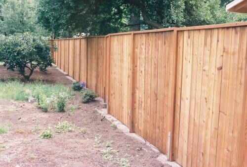 Wooden privacy fence in a yard with sparse grass and a small tree.