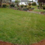 Lush green lawn with garden beds in background, some buildings and trees.