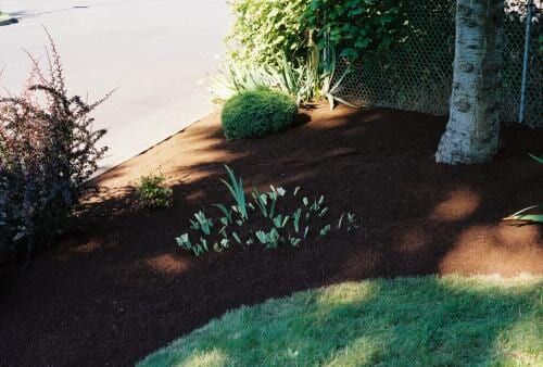 Garden bed with fresh mulch surrounding plants and a tree, adjacent to a driveway and lawn.