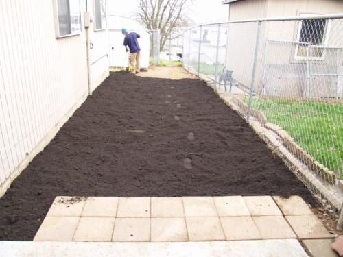 Man raking soil in narrow backyard garden bed next to house, paved path in foreground.