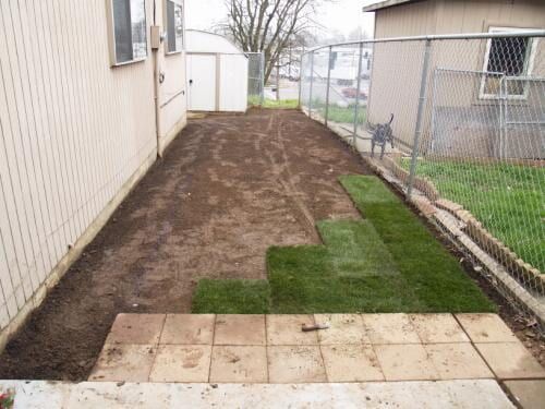 Backyard, freshly tilled soil, patches of new grass laid, next to a building and fence.
