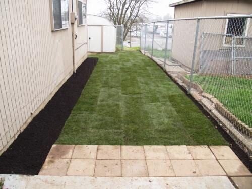 Backyard with freshly laid sod between two buildings, bordered by mulch and a patio.
