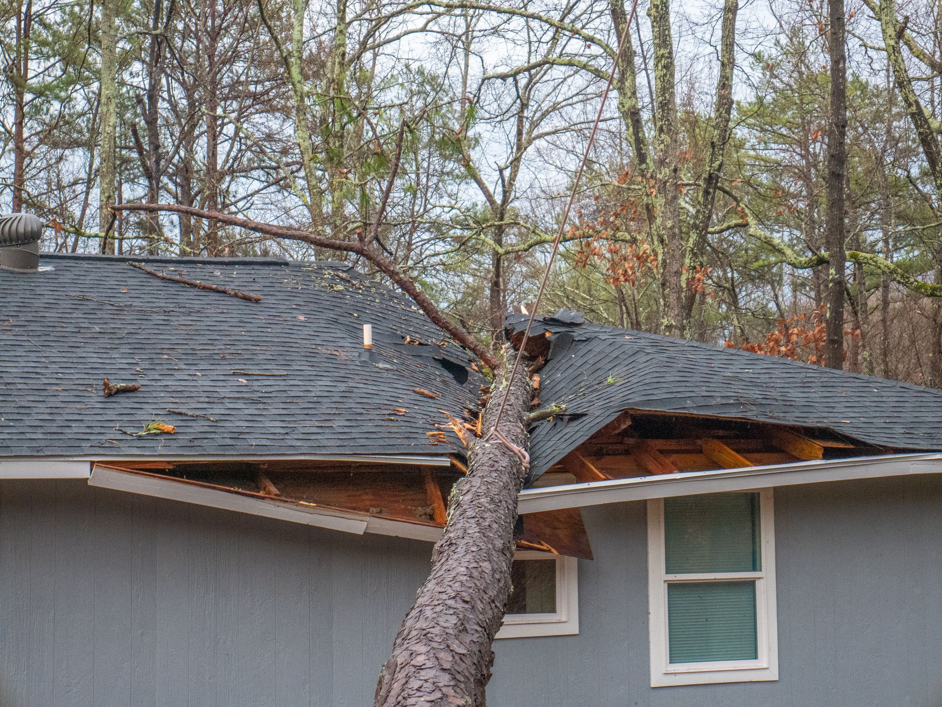 Tree trunk crashing through a gray roof of a house, with damaged shingles and exposed rafters.