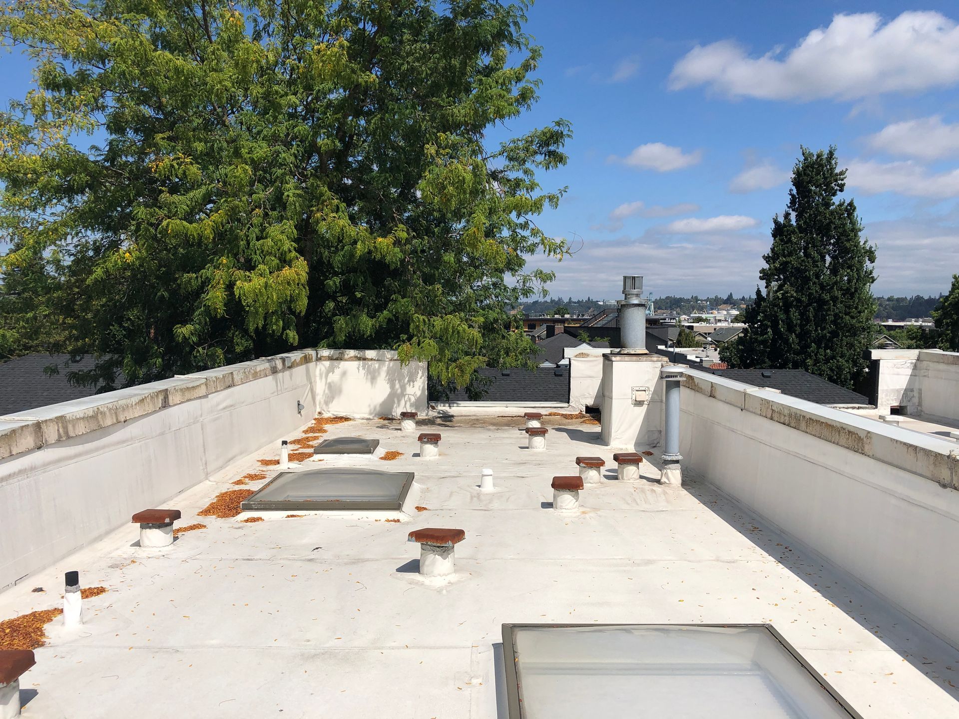 A rubber membrane roof.