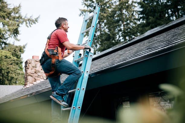 Person in red shirt climbing a blue ladder to a roof, wearing safety gear and harness.