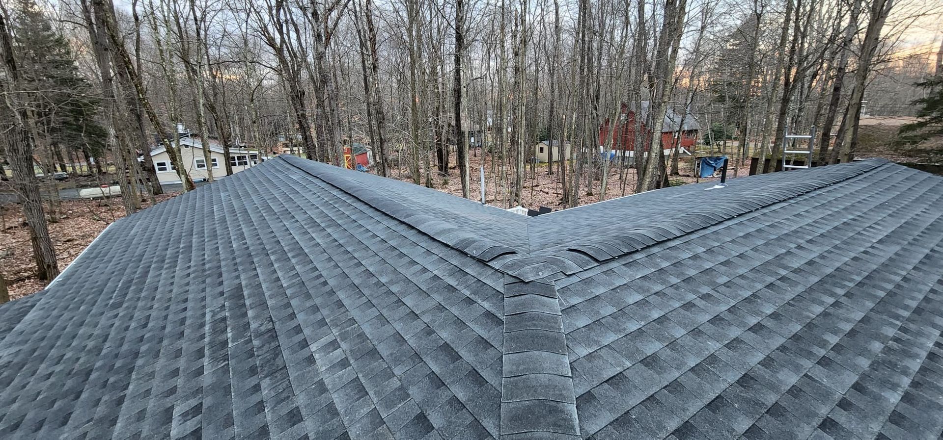 Dark gray shingle roof in a forest, viewed from above.