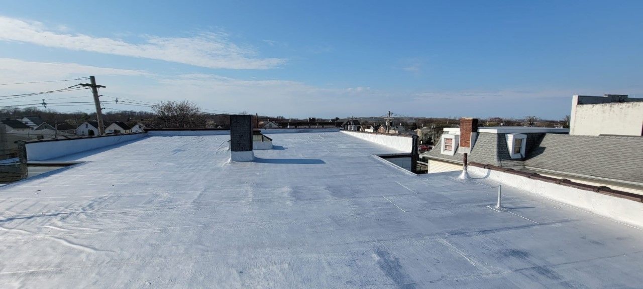 View from a rooftop on a sunny day. White roof with chimneys, power lines, and trees on the horizon.