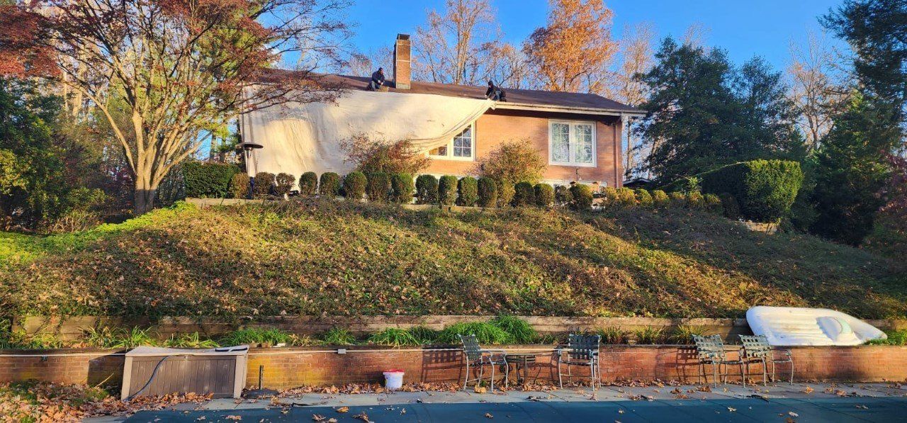 House on a hill with foliage. Two people on the roof, trees in the background, blue sky.