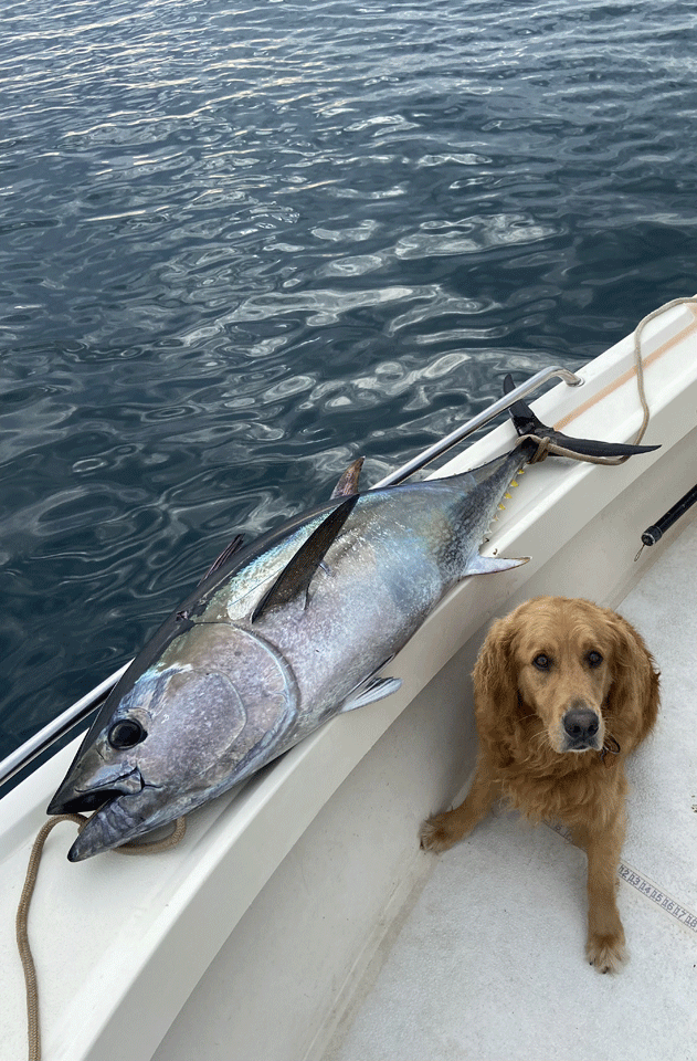Tuna