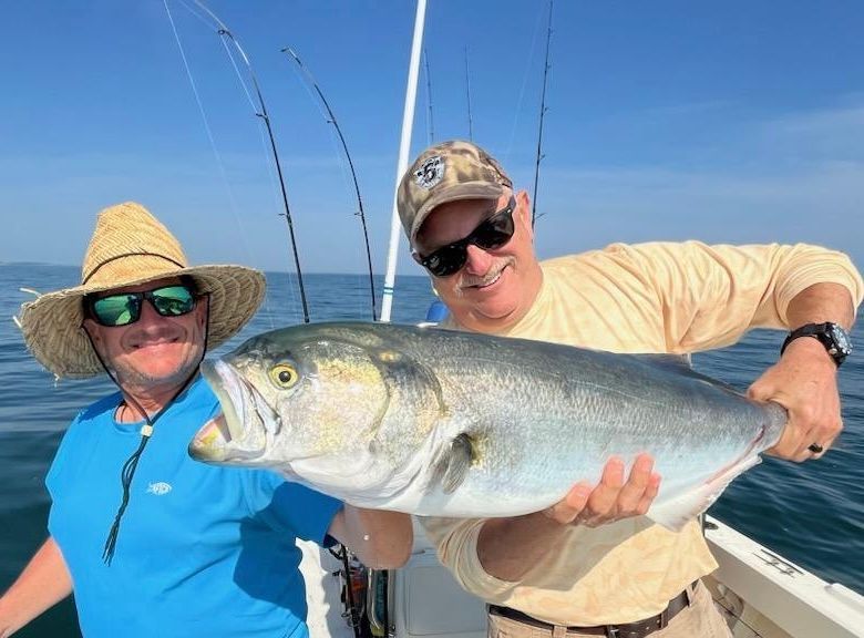 Bluefish