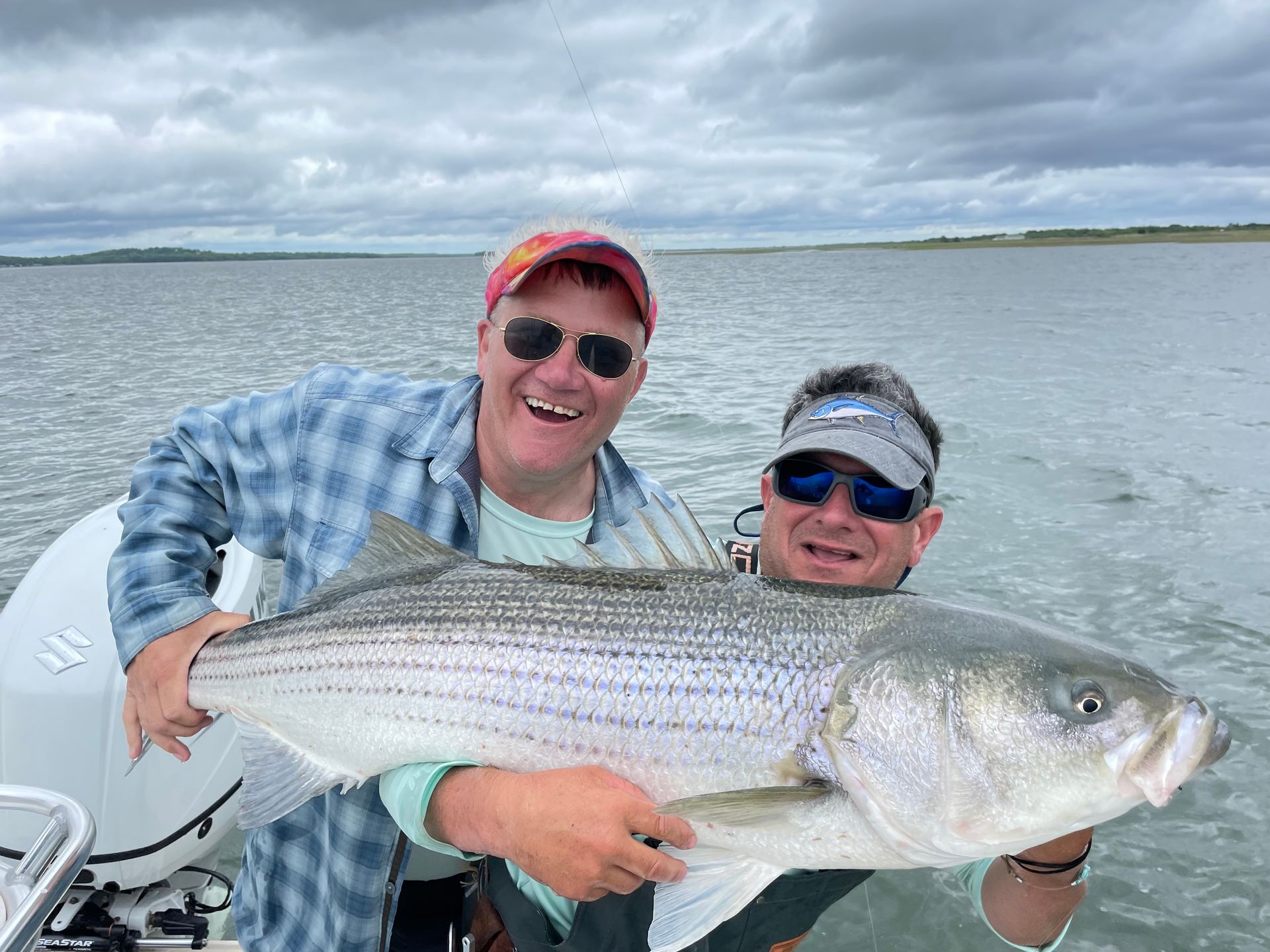 Striped Bass