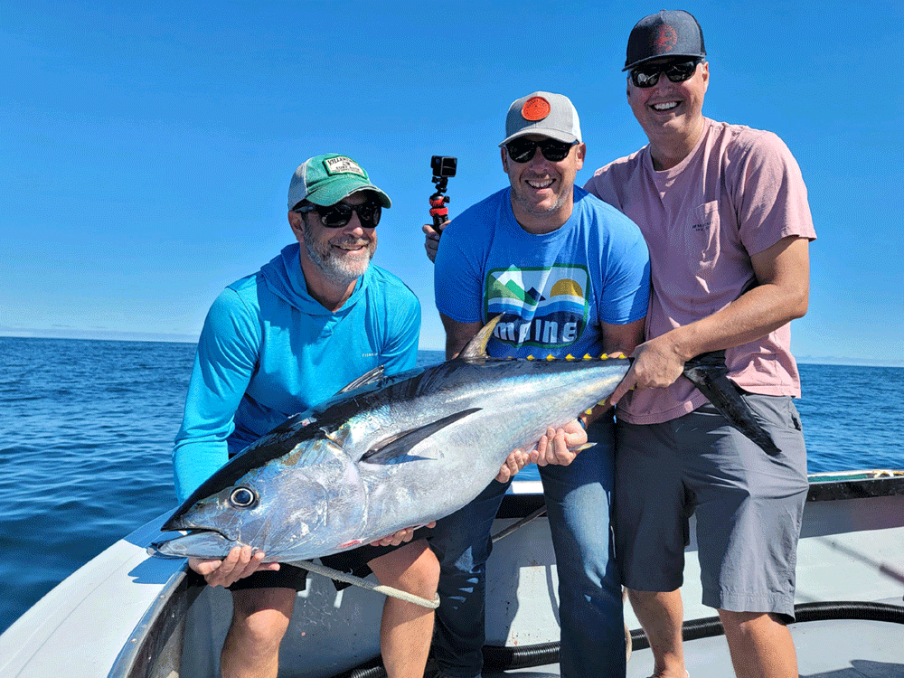 Striped Bass Fishing out of Newburyport