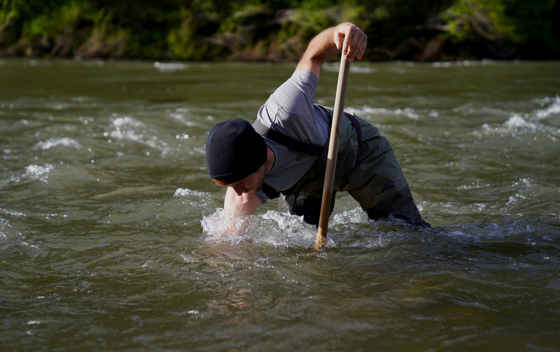 Support Indigenous-led stewardship—help replant, restore ecosystems, and renew the land for future generations.