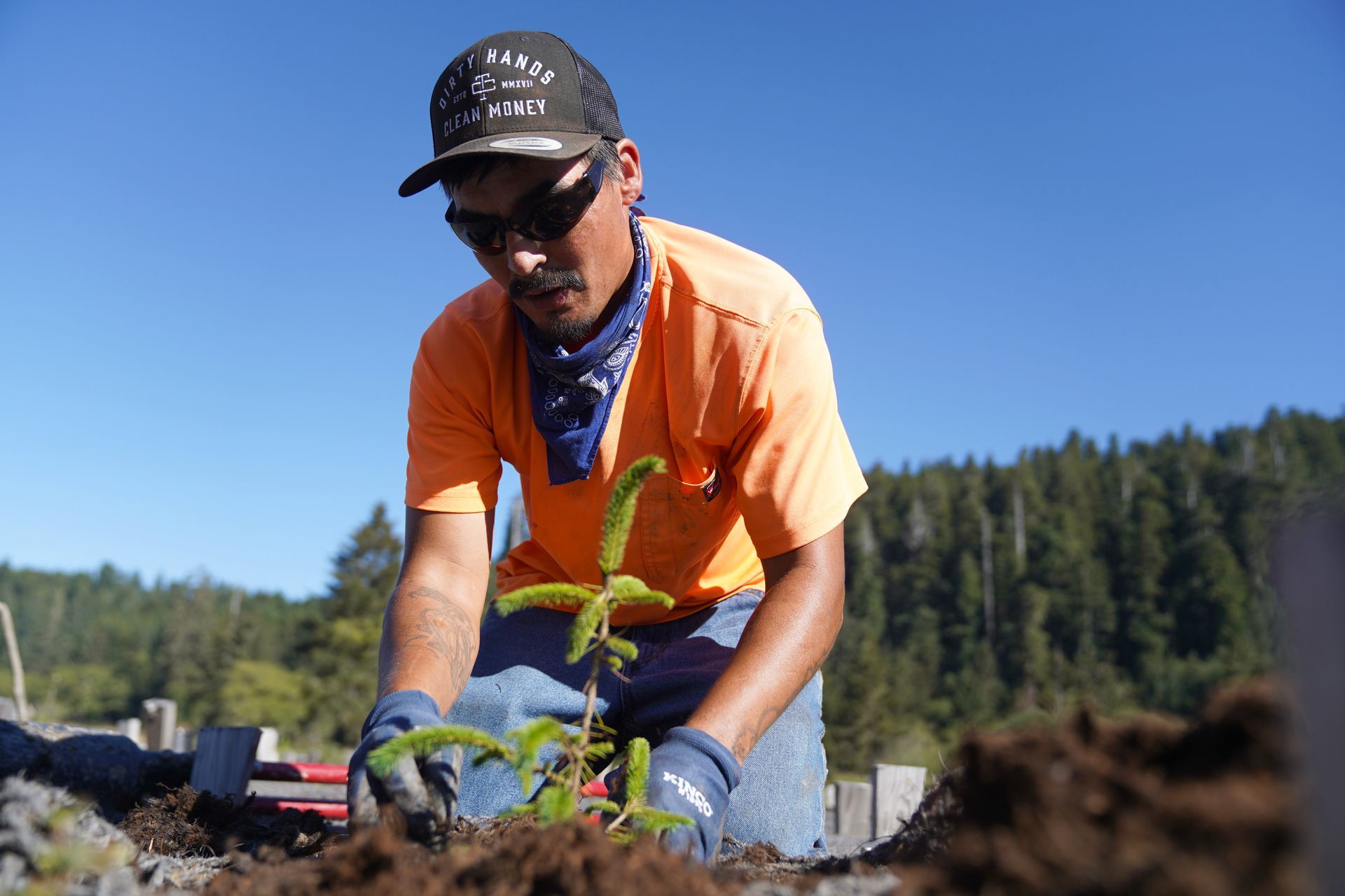 Support Indigenous-led stewardship—help replant, restore ecosystems, and renew the land for future generations.
